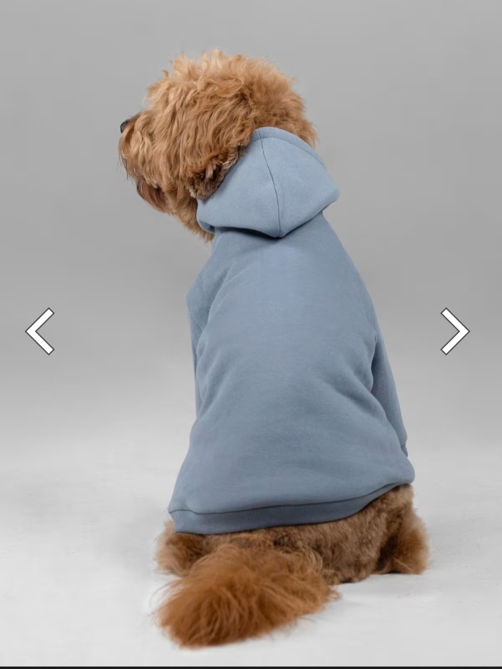 Comfrt Signature Paw Hoodie In Bone, Size Medium NWOT - Picture 2 of 9